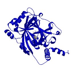 Image of CATH 5op6