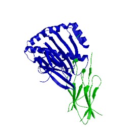 Image of CATH 5opi