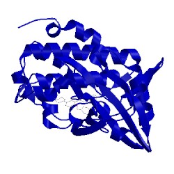 Image of CATH 5oq8