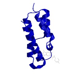 Image of CATH 5or8