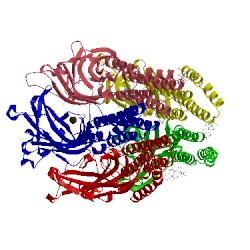 Image of CATH 5osb