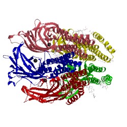 Image of CATH 5osc