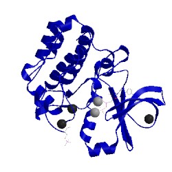 Image of CATH 5osd