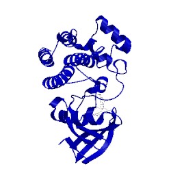Image of CATH 5p9g