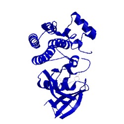 Image of CATH 5p9j
