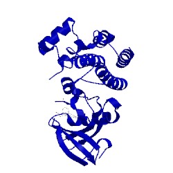 Image of CATH 5p9l