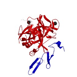 Image of CATH 5pac