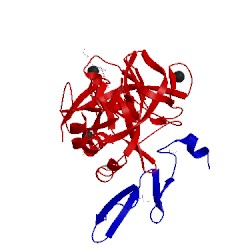 Image of CATH 5pag