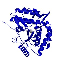 Image of CATH 5pah