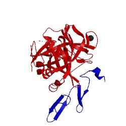 Image of CATH 5pak