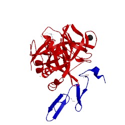 Image of CATH 5pas