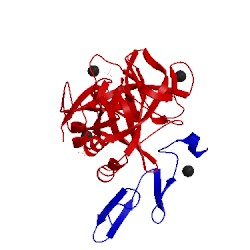 Image of CATH 5paw