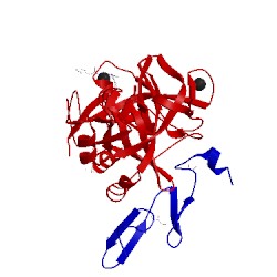 Image of CATH 5pax