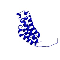 Image of CATH 5pck