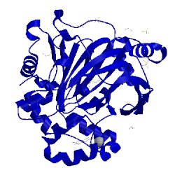 Image of CATH 5phl