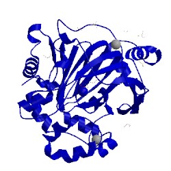 Image of CATH 5phq