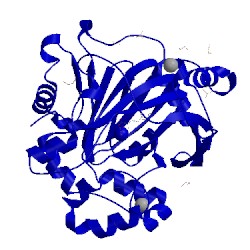 Image of CATH 5pii