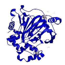 Image of CATH 5piz