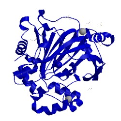 Image of CATH 5pkr