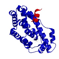 Image of CATH 5q0w
