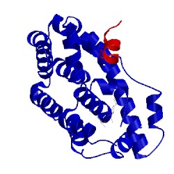 Image of CATH 5q0x