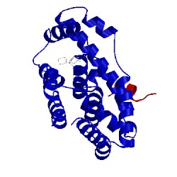 Image of CATH 5q11