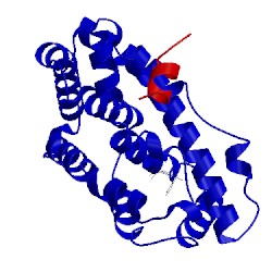 Image of CATH 5q12