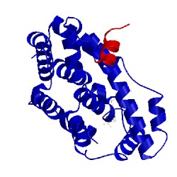 Image of CATH 5q17