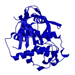 Image of CATH 5suw
