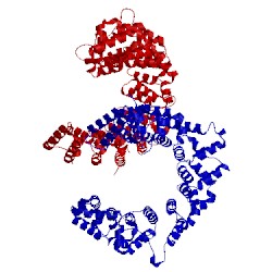 Image of CATH 5svd