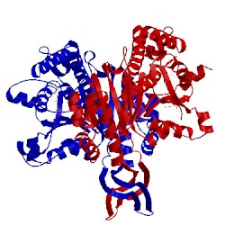 Image of CATH 5svo