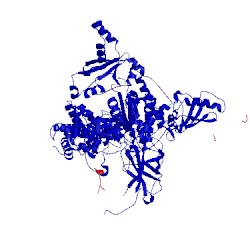 Image of CATH 5swg