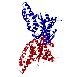 Image of CATH 5swj