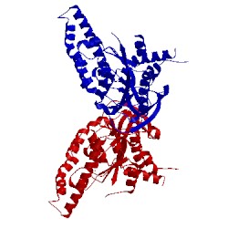 Image of CATH 5swl