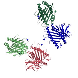 Image of CATH 5swz