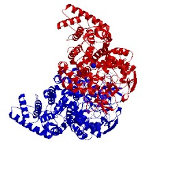 Image of CATH 5sx2