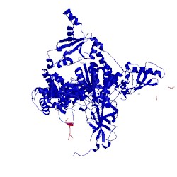 Image of CATH 5sx8