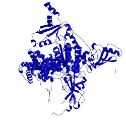 Image of CATH 5sxb