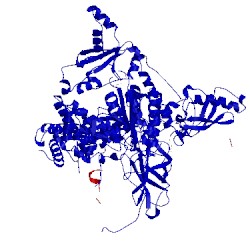 Image of CATH 5sxc
