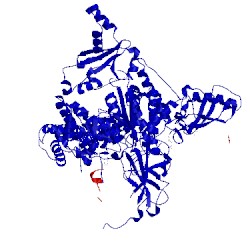 Image of CATH 5sxe