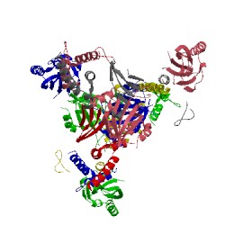 Image of CATH 5sy5