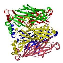 Image of CATH 5syo