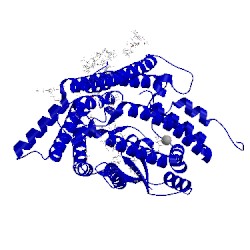 Image of CATH 5syt