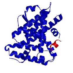 Image of CATH 5syz