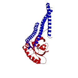 Image of CATH 5szk