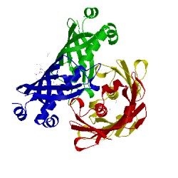 Image of CATH 5t06