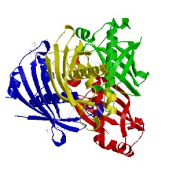 Image of CATH 5t07