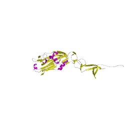 Image of CATH 5t0eE