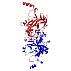 Image of CATH 5t0k