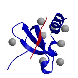 Image of CATH 5t1g